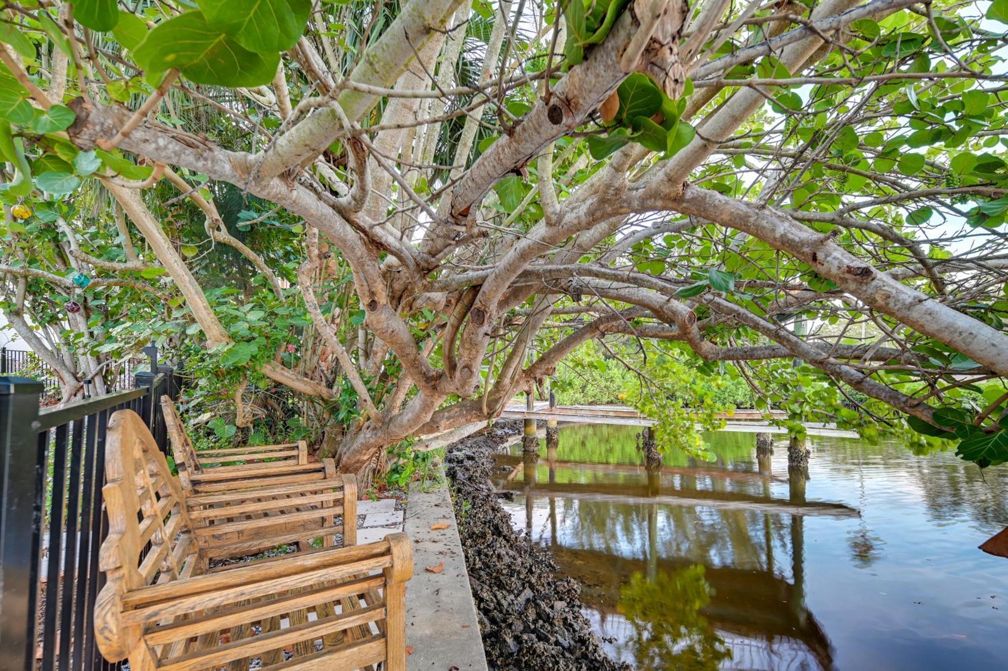 Pet-Friendly Waterfront Home - 2 Mi To Beach! Tarpon Springs Zewnętrze zdjęcie
